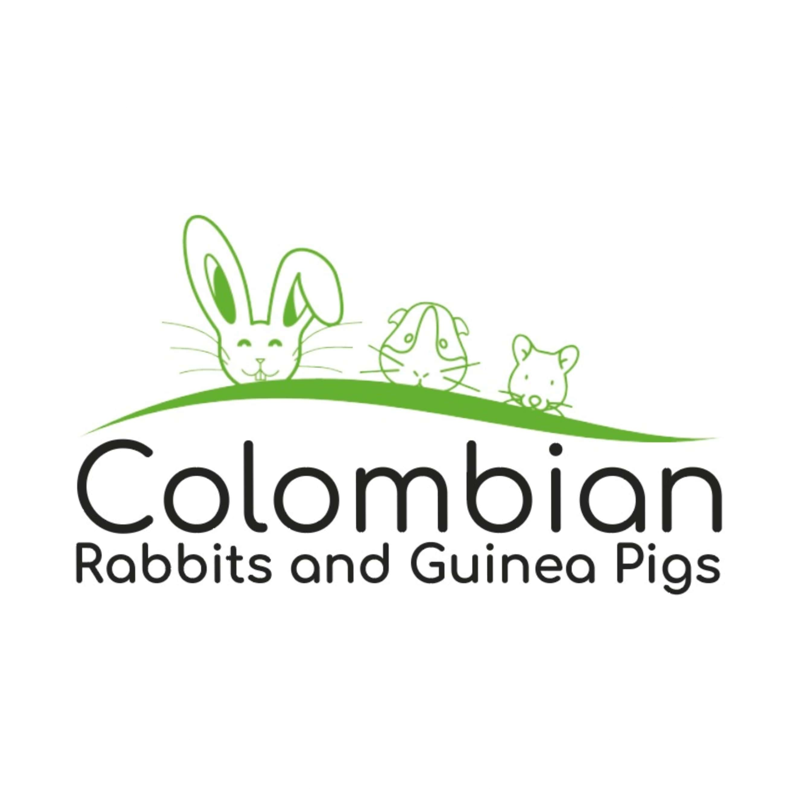 Fashion colombian rabbits and guinea pigs